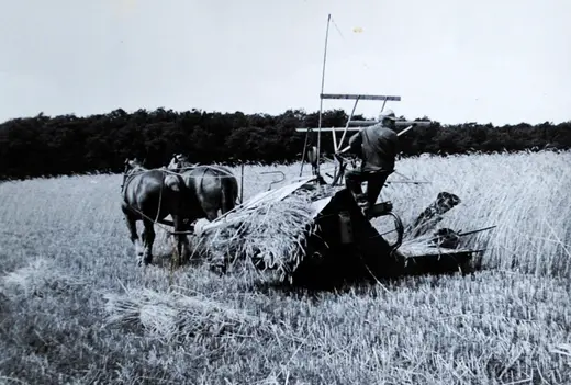 Bildtafel aus der Chronik: Tagesablauf in der Landwirtschaft
